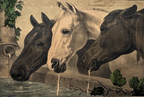 Currier the three - three, favorites